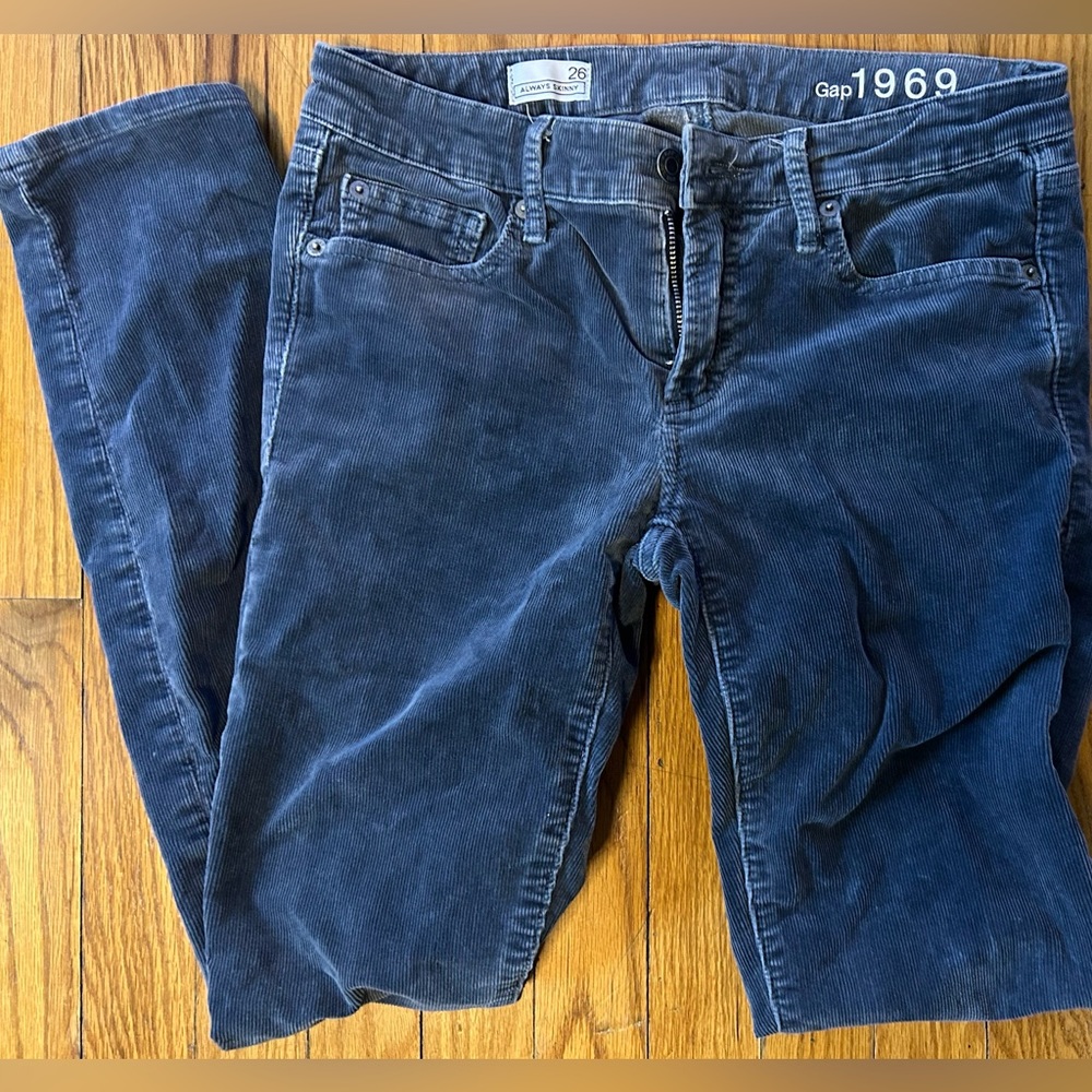 Gap 1969 Always Skinny Soft Velvet Suede Jeans/Pants